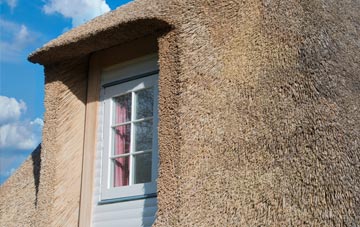 Holmebridge thatch roof disadvantages