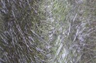 Holmebridge fibreglass roof work